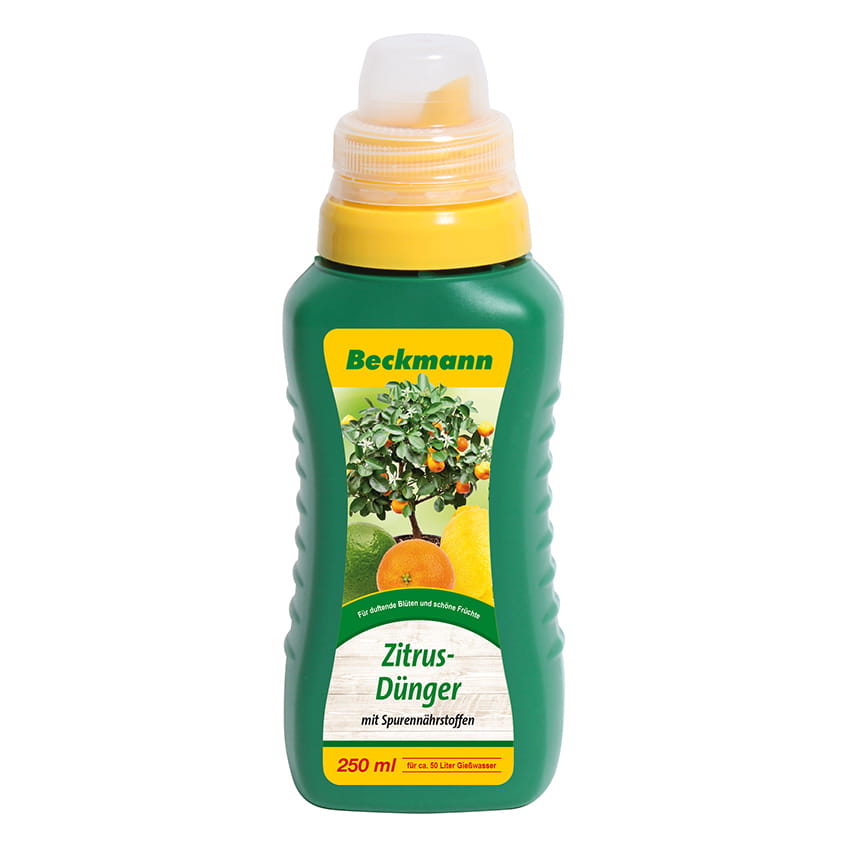 Zitrusdünger Zitrusdünger