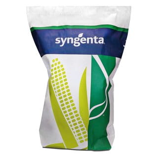 SY Talismano organico SY Talismano organico