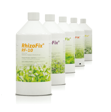 ® RhizoFix - RF-10 Semi di soia ® RhizoFix - RF-10 Semi di soia