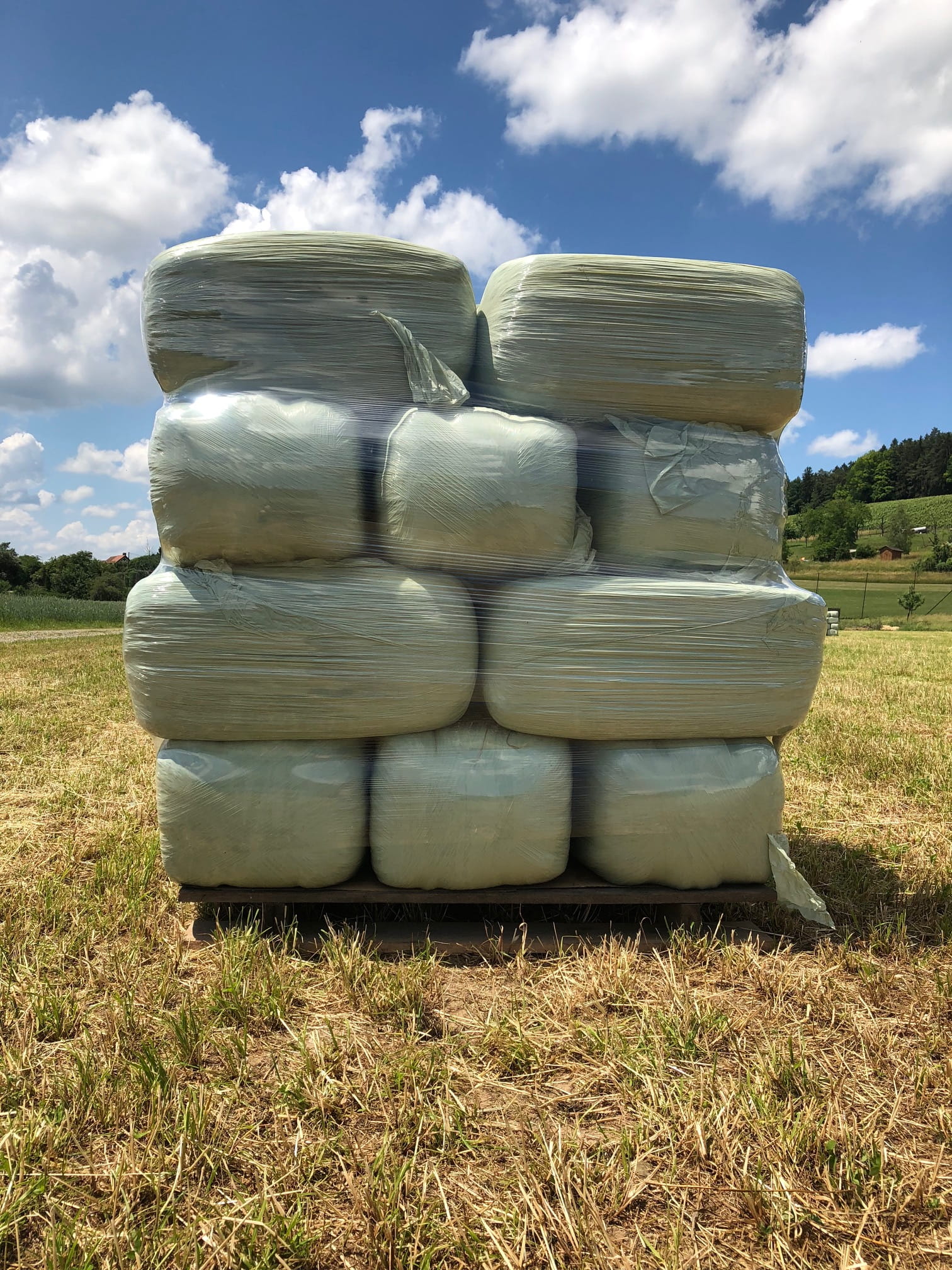 Ensilage/laylage bio pour chevaux livré en petites balles (environ 40 kilogrammes/pièce) Ensilage/laylage bio pour chevaux livré en petites balles (environ 40 kilogrammes/pièce)
