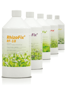 ® RhizoFix - RF-60 Fagiolo di campo