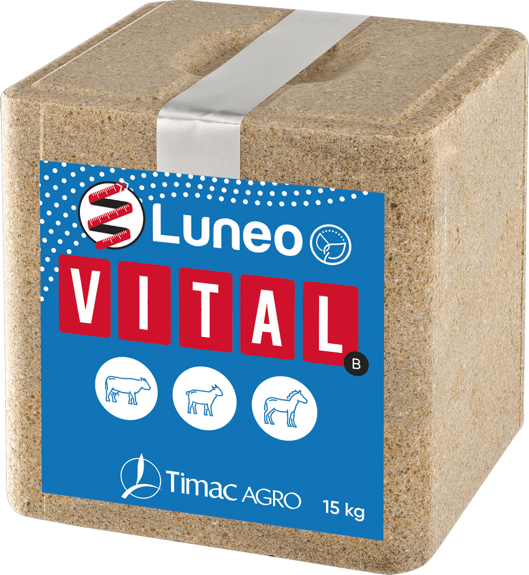 Premium Leckstein Luneo Vital B 15kg