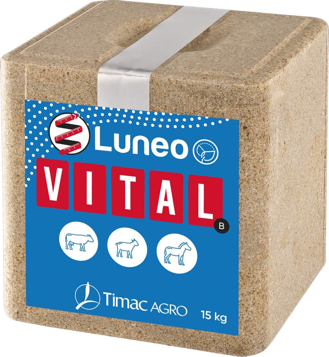 Pietra da leccare premium Luneo Vital B 15 kg Pietra da leccare premium Luneo Vital B 15 kg