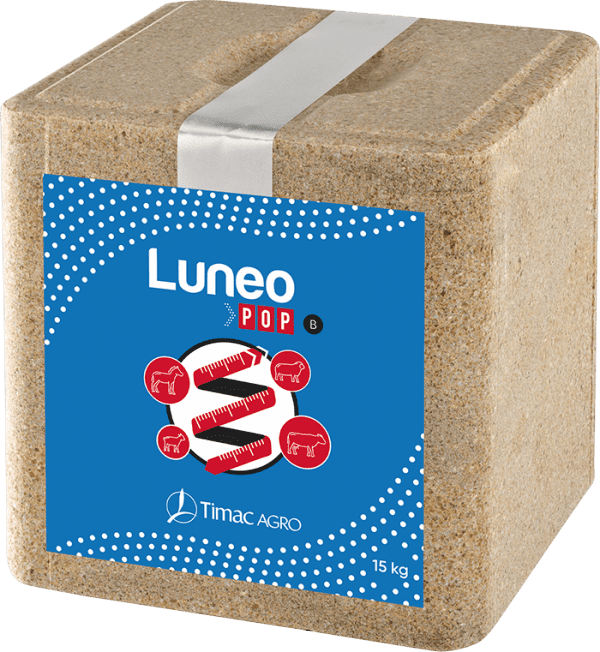 Pietra da leccare premium Luneo Vital B 15 kg Pietra da leccare premium Luneo Vital B 15 kg