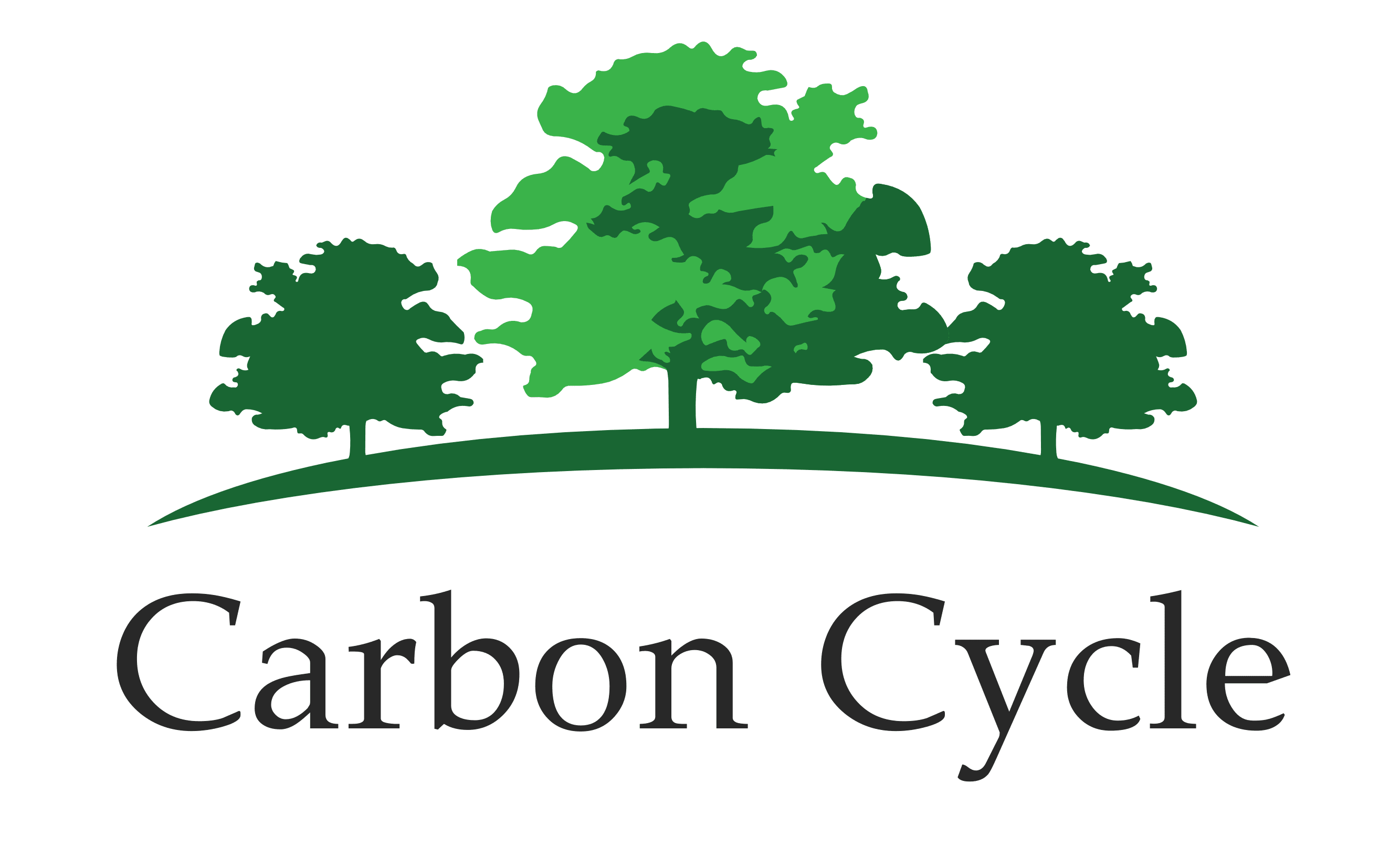 CARBON CYCLE GmbH & Co. KG